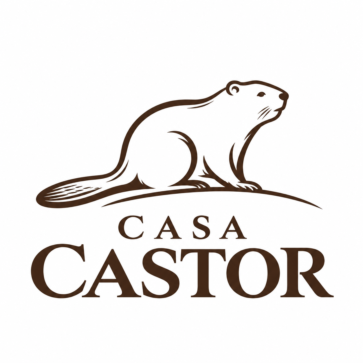 Casa Castor